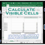How to Sum only Visible Cells in Excel?