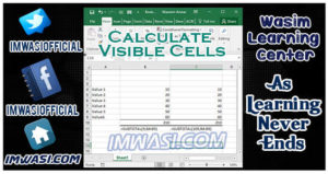 How to Sum only Visible Cells in Excel?